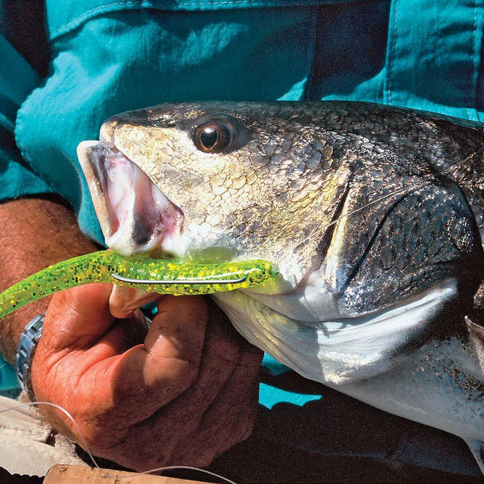 Anglers Share Their Best Redfish Rigs and Tactics