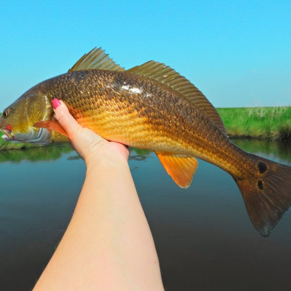 Trolling For Redfish…….A Slow Day Alternative