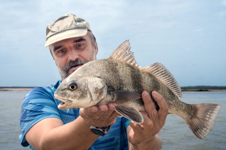 Fishing Structure For Black Drum