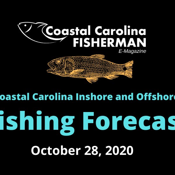 Fishing Forecast For October 28, 2020
