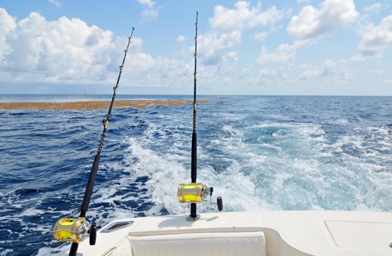 High Speed Trolling…..Fishing On Steroids — Eastern Outfitters