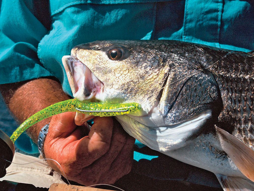 Anglers Share Their Best Redfish Rigs and Tactics