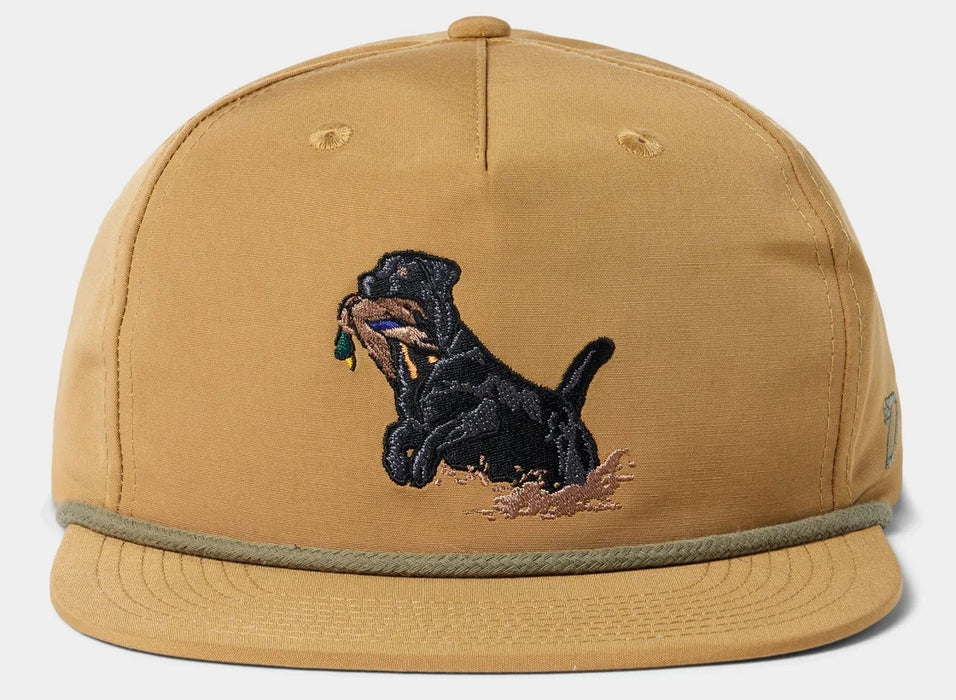 Black Lab Hat - Wheat