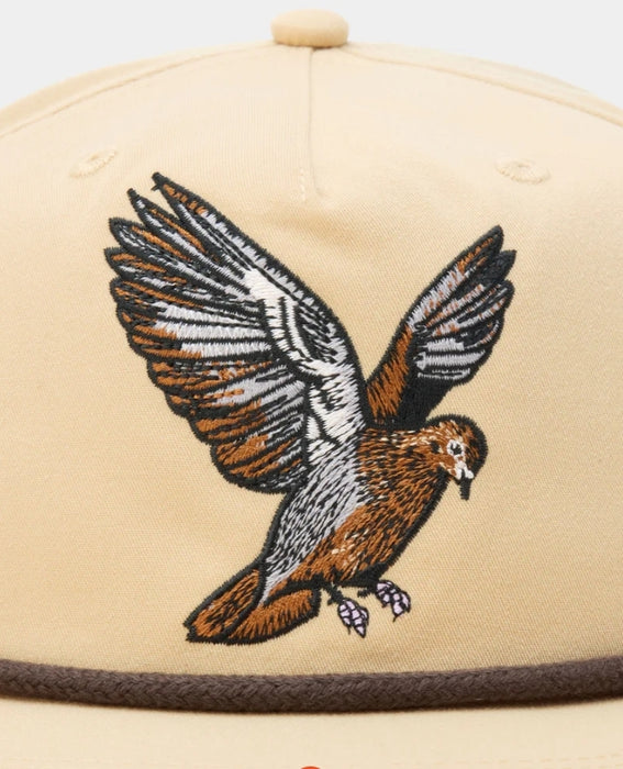 Dove Hat