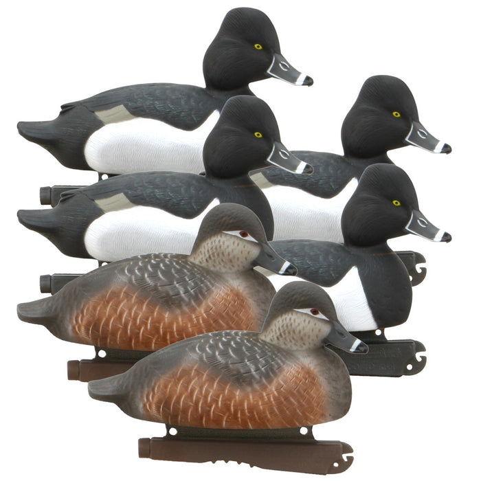 GHG Hunter Series Life Size Ring Neck Duck Decoys